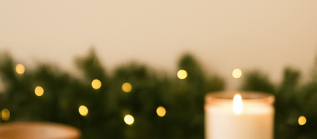 🎄 Christmas Simmer Pot Recipes for a Cozy, Warm Holiday Home